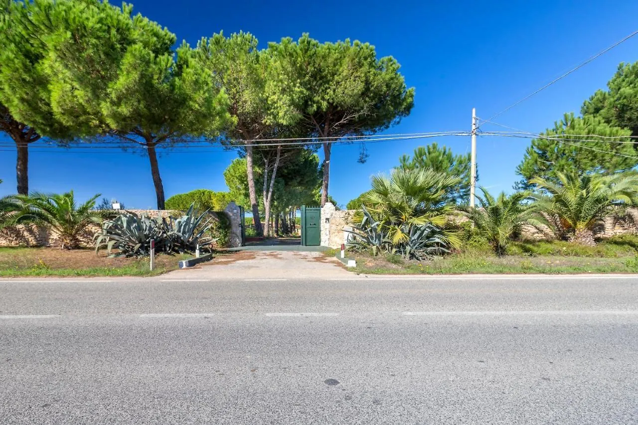 Villa Girasoli Con Piscina Privata E Spa A 2Km Dalla Spiaggia Alguer