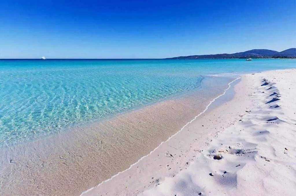 Villa Girasoli Con Piscina Privata E Spa A 2Km Dalla Spiaggia Αλγκέρο 0*,