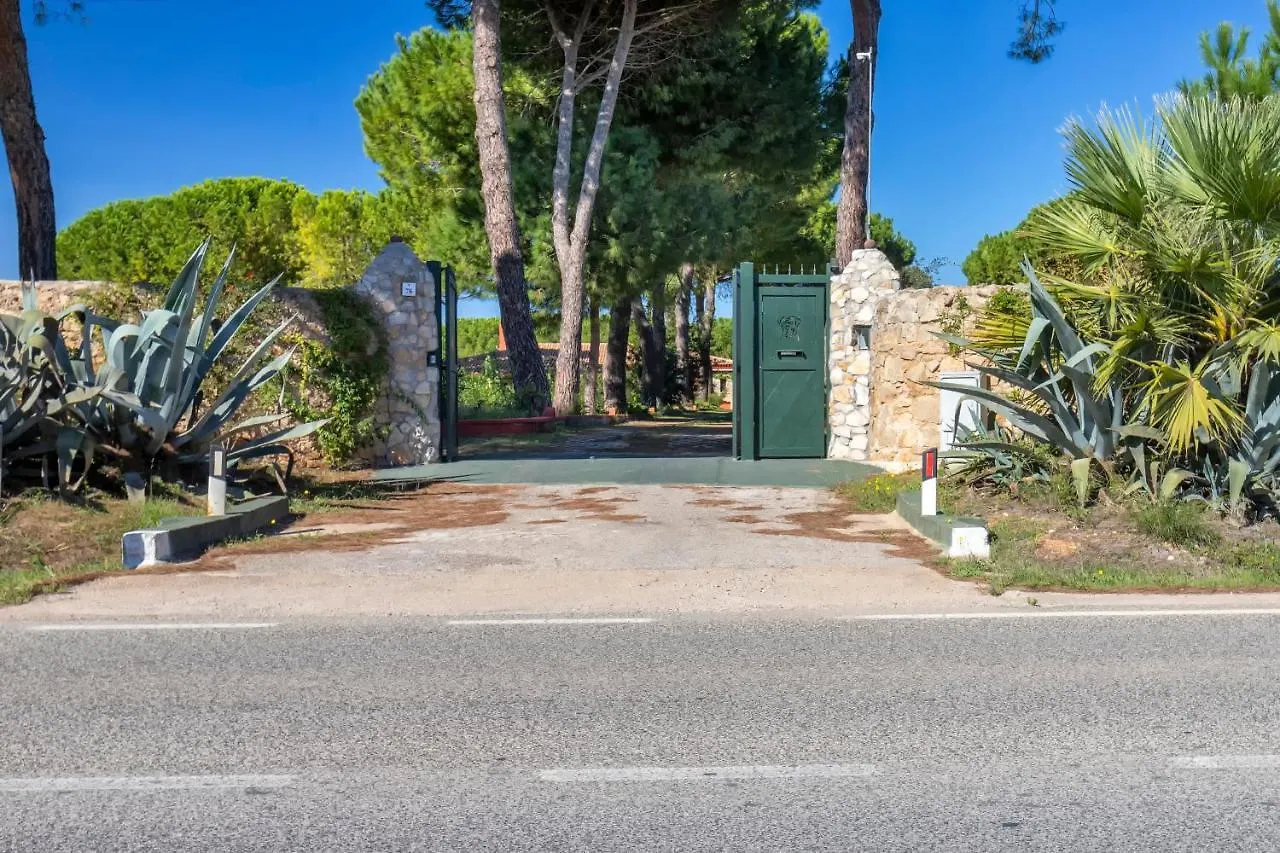 Villa Girasoli Con Piscina Privata E Spa A 2Km Dalla Spiaggia Αλγκέρο Ιταλία